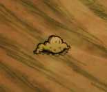 《饥荒》哈姆雷特新加工具有什么_哈姆雷特新加工具介绍