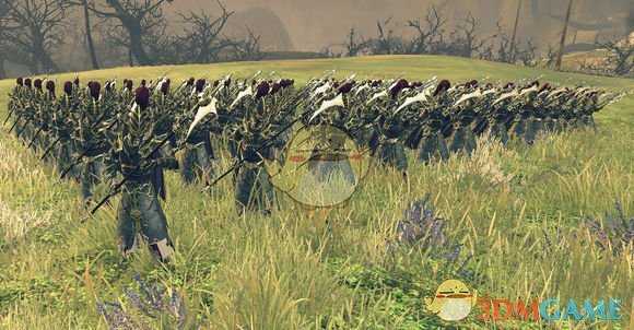 《全面战争：战锤2》纳迦隆德黑守卫优缺点分析