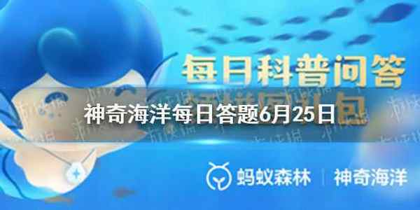 没有红树林的省份 神奇海洋没有红树林自然分布的省份