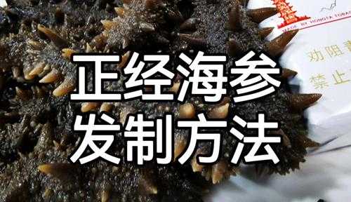 怎么发海参最佳方法(淡干海参泡发方法全攻略)