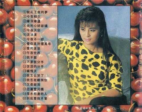 高胜美.1994-山地情歌5CD【永盛】【WAV+CUE】
