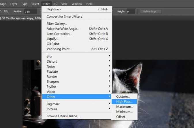 PS利用HIGH PASS FILTER高效无损地锐利猫咪照片