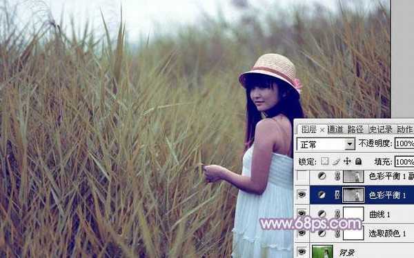 Photoshop将芦苇美女图片打造唯美的秋季冷色蓝紫色