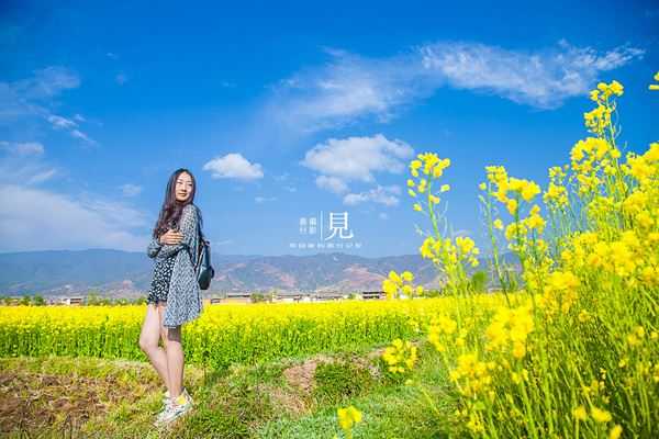 春季摄影技巧:让你的