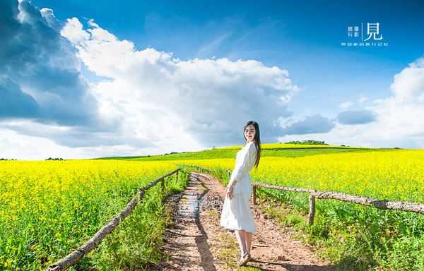 春季摄影技巧:让你的
