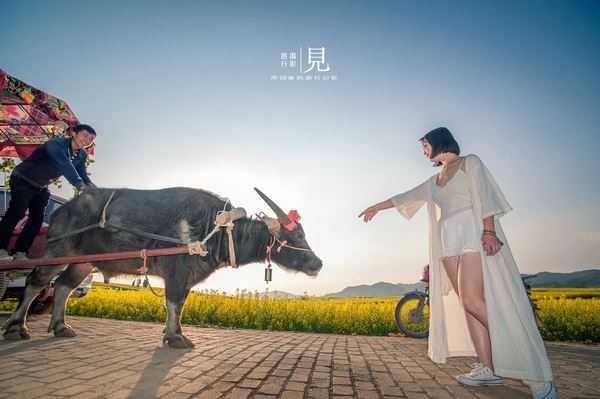 春季摄影技巧:让你的